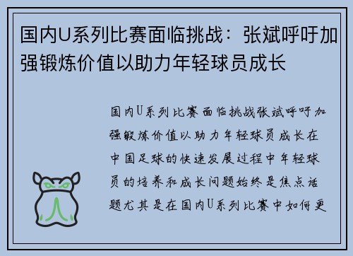 国内U系列比赛面临挑战：张斌呼吁加强锻炼价值以助力年轻球员成长
